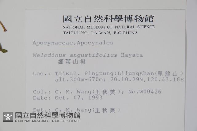 山橙藏品圖，第2張