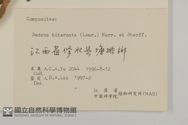 登錄號:S062282藏品圖，第3張