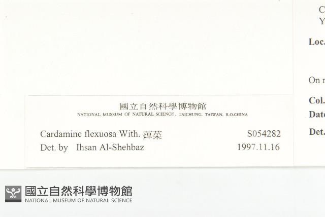 焊菜藏品圖，第3張