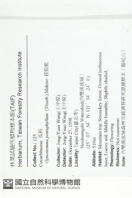 絞股藍藏品圖，第2張