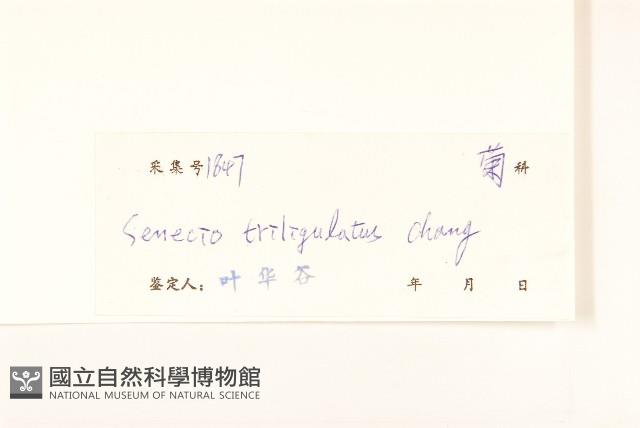 登錄號:S040182藏品圖，第3張