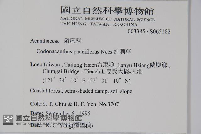 針刺草藏品圖，第2張