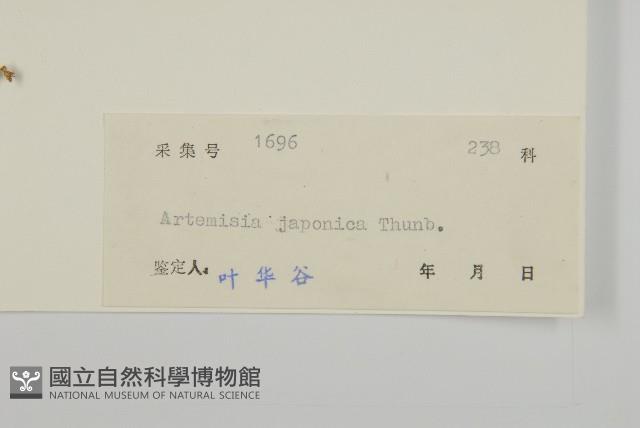 牡蒿藏品圖，第3張