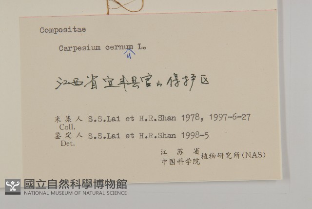杓兒菜藏品圖，第3張