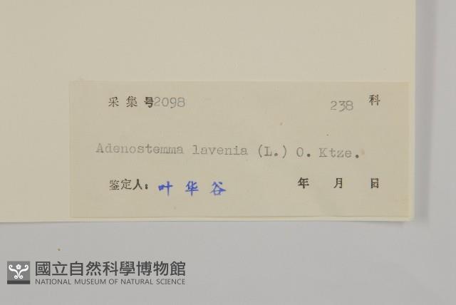 下田菊藏品圖，第3張