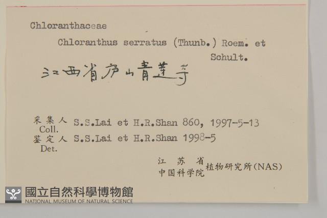 及己藏品圖，第3張