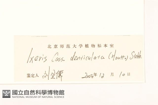 苦實菜藏品圖，第3張