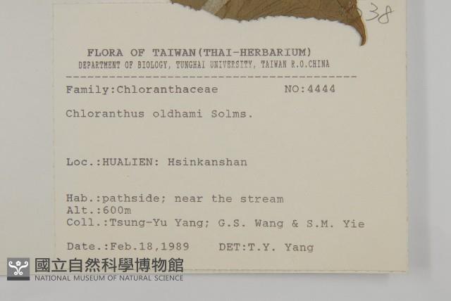 臺灣及己藏品圖，第2張