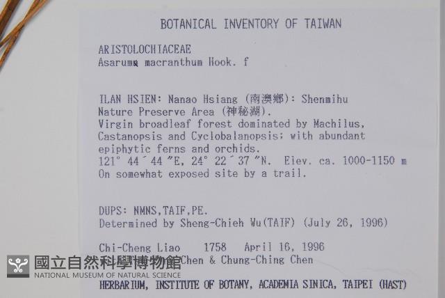 Accession Number:S032420 Collection Image, Figure 2, Total 2 Figures