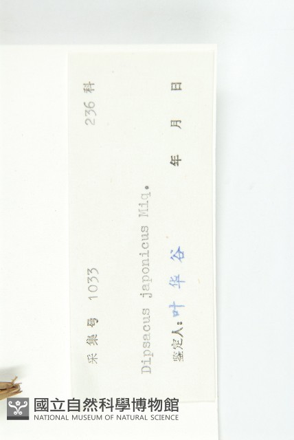 續斷藏品圖，第3張