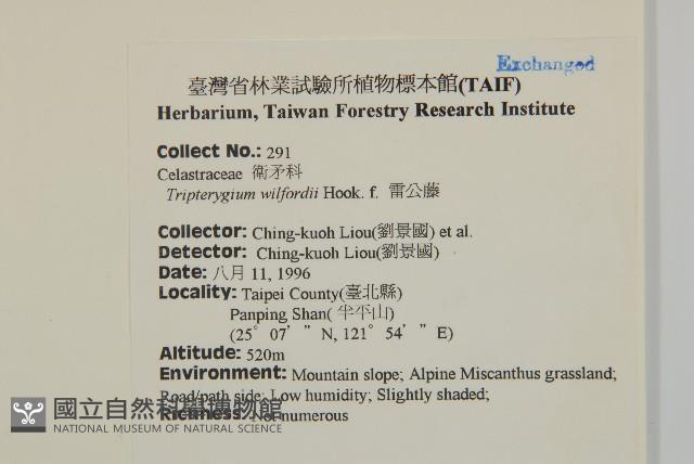 雷公藤藏品圖，第2張