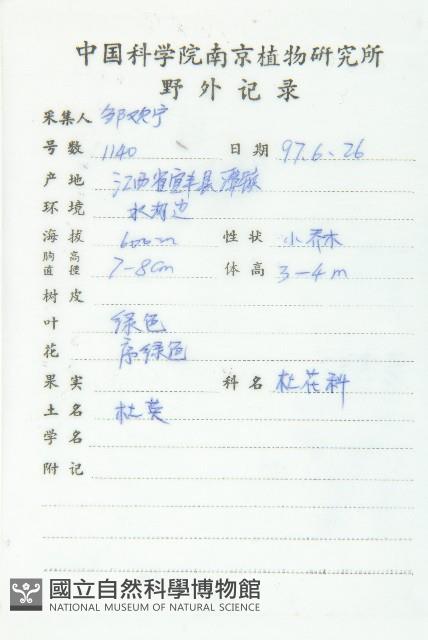 杜英、山杜英、蘭嶼杜英藏品圖，第2張