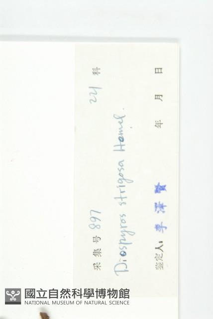 Accession Number:S033920 Collection Image, Figure 3, Total 6 Figures