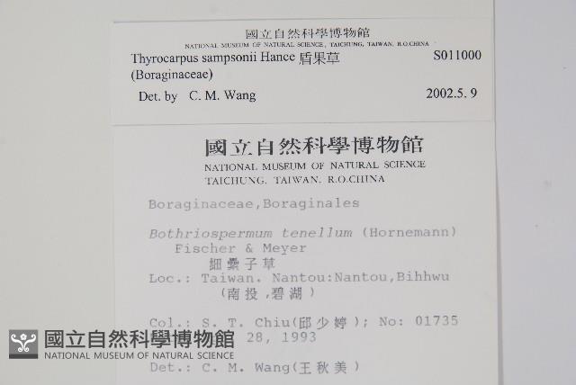 盾果草藏品圖，第2張