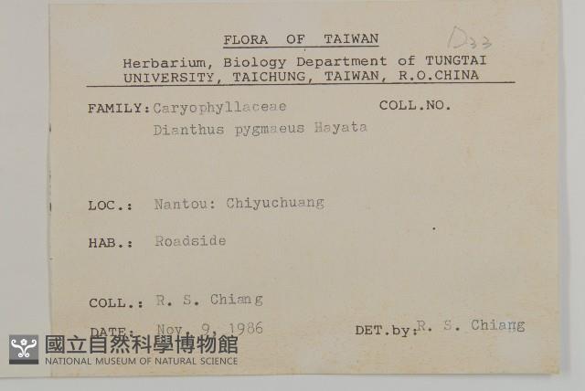 玉山石竹藏品圖，第2張