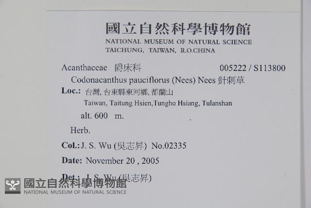 針刺草藏品圖，第2張