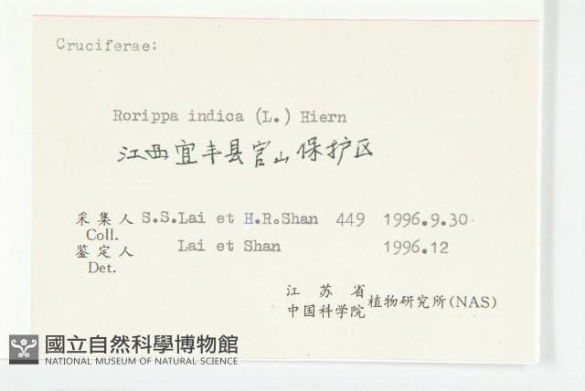 葶藶藏品圖，第3張