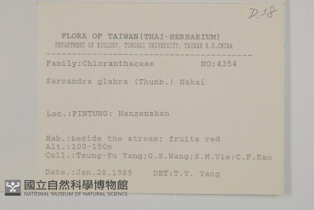 草珊瑚、紅果金粟蘭藏品圖，第2張