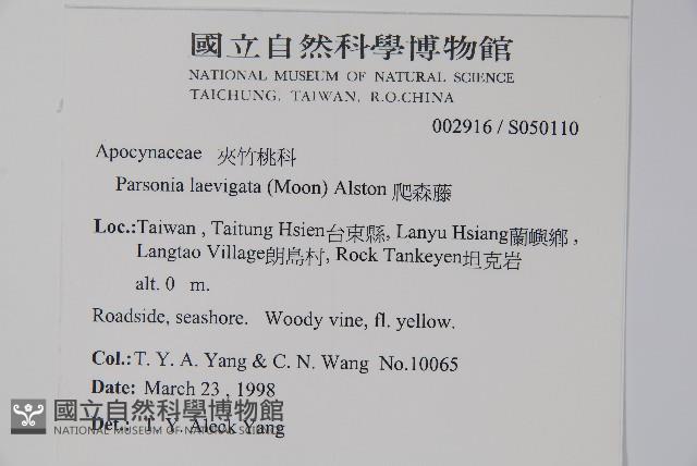 爬森藤藏品圖，第5張