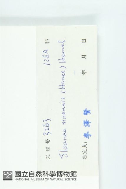 猴歡喜藏品圖，第3張