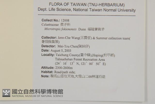 福建賽衛矛、福建假衛矛藏品圖，第2張