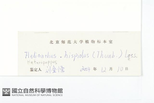 狗娃花藏品圖，第3張