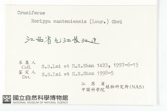 廣東葶藶藏品圖，第3張