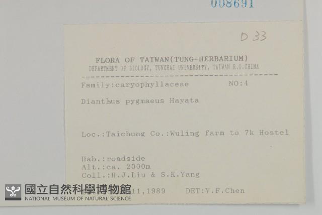 玉山石竹藏品圖，第2張