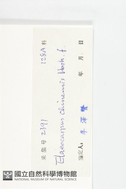 華杜英藏品圖，第3張