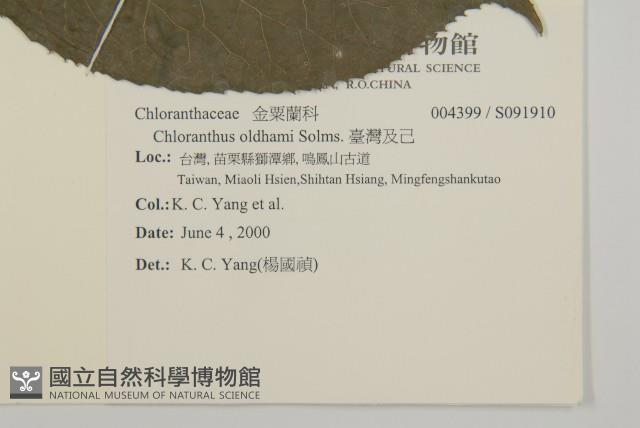 臺灣及己藏品圖，第2張