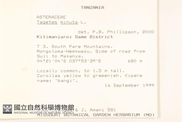 印加孔雀草藏品圖，第2張