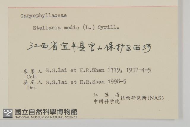 繁縷藏品圖，第3張