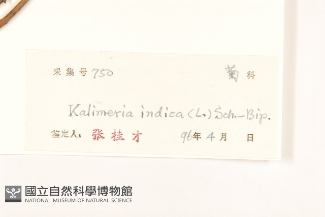 雞兒腸藏品圖，第3張