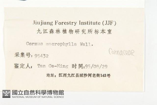 梜木藏品圖，第3張