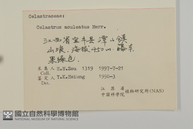 過山楓藏品圖，第3張