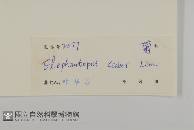 燈豎朽藏品圖，第3張