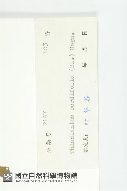 大苞赤瓟藏品圖，第3張