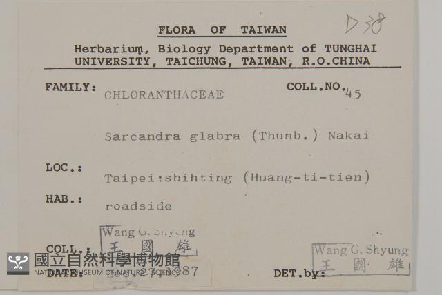 草珊瑚、紅果金粟蘭藏品圖，第2張