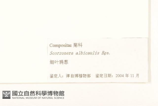 芼管草藏品圖，第3張