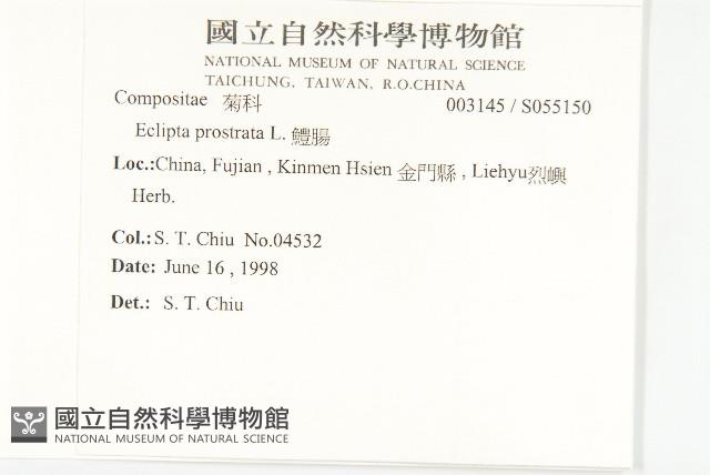 鱧腸藏品圖，第2張