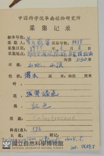 雷公藤藏品圖，第2張
