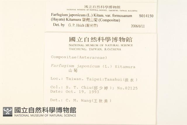 臺灣山菊藏品圖，第2張