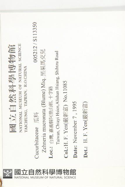 黑果馬交兒藏品圖，第2張