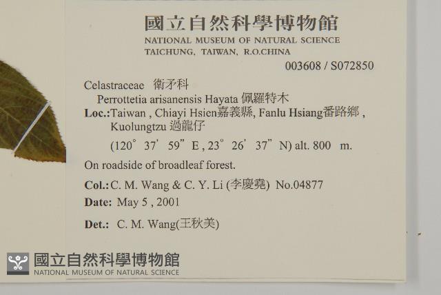 佩羅特木藏品圖，第2張