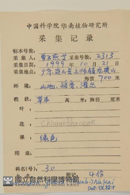 草珊瑚、紅果金粟蘭藏品圖，第2張