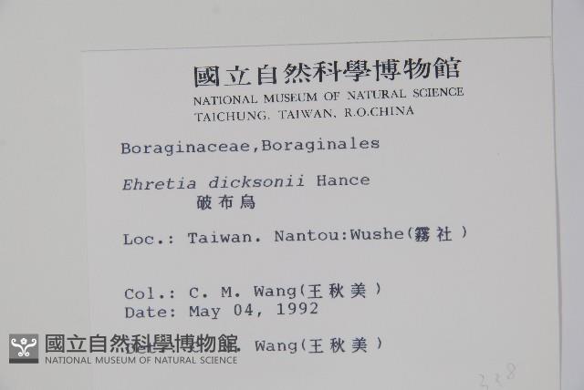 破布烏藏品圖，第2張