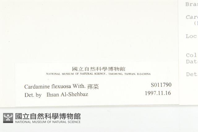 焊菜藏品圖，第3張