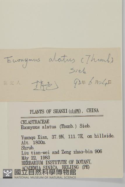 衛矛藏品圖，第3張