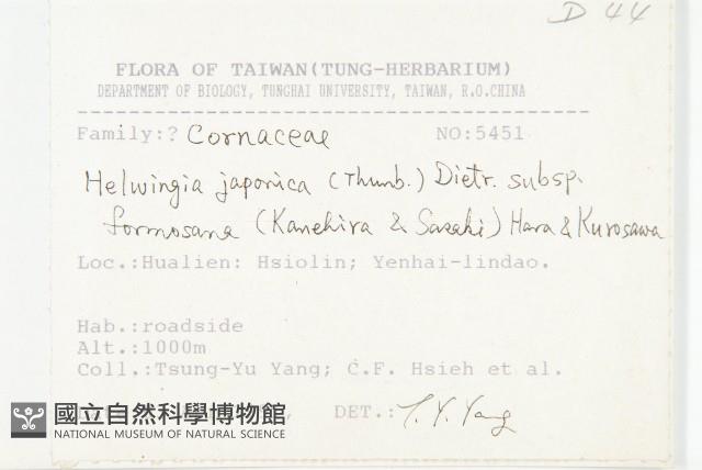 臺灣青莢葉藏品圖，第2張