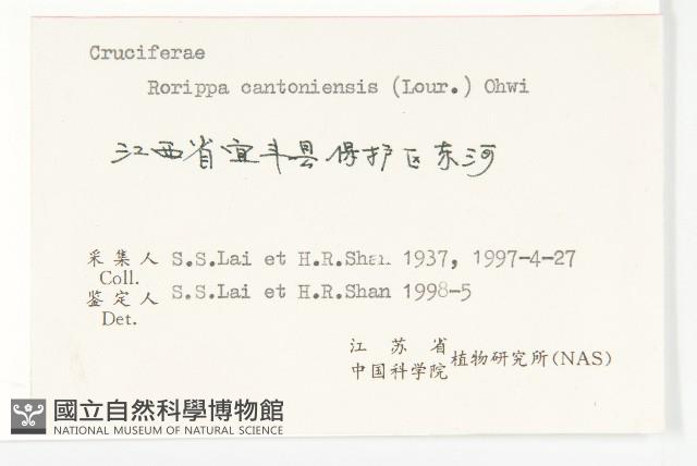 廣東葶藶藏品圖，第3張